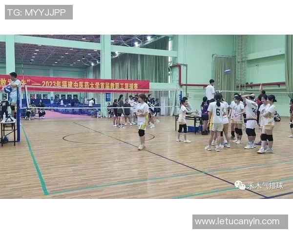 南京排球队挑战赛点评：个人能力展现与团队协作的完美结合