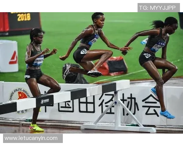 成都网球队在钻石联赛中的拼搏历程与荣耀时刻回顾 成都网球队在钻石联赛中的拼搏历程与荣耀时刻回顾